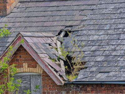 Professional water damage restoration services in Palm Coast - NovaGrove